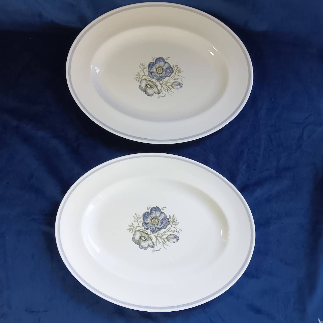 2026新版ウェッジウッド Wedgwood スージークーパー グレンミスト