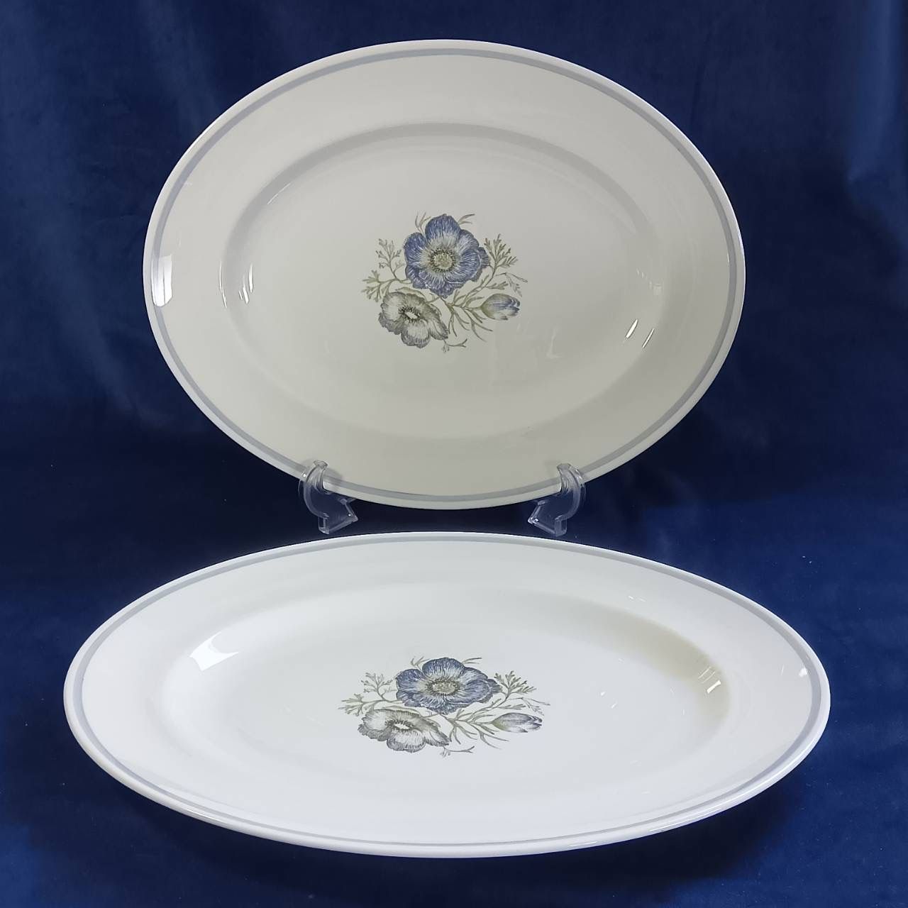 2026新版ウェッジウッド Wedgwood スージークーパー グレンミスト