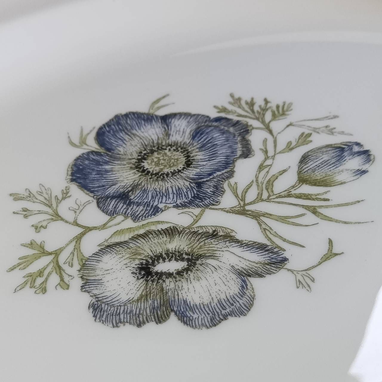 2026新版ウェッジウッド Wedgwood スージークーパー グレンミスト