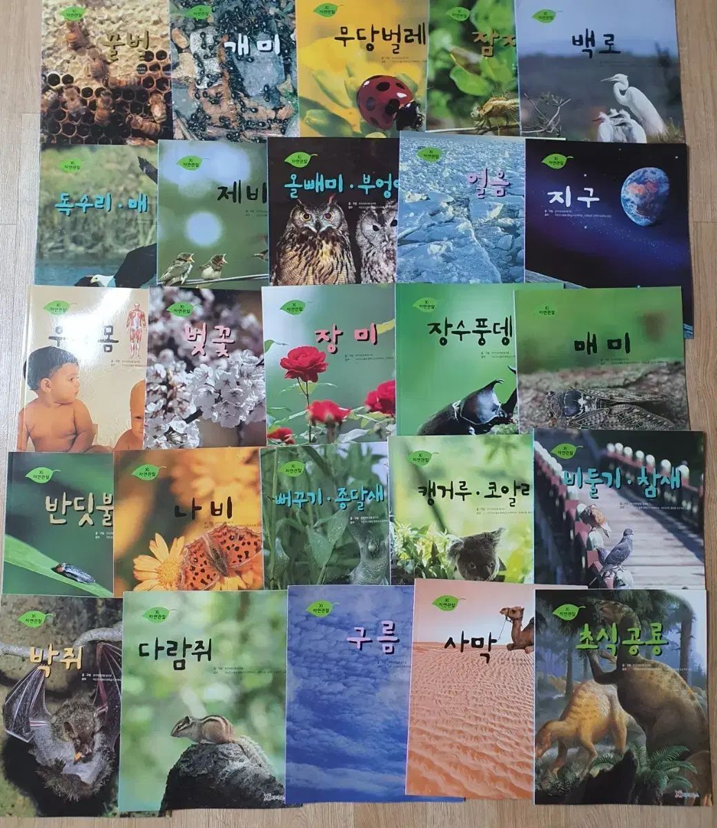xi자이BOOKS自然観察 ユア(YOOA)幼児用本
