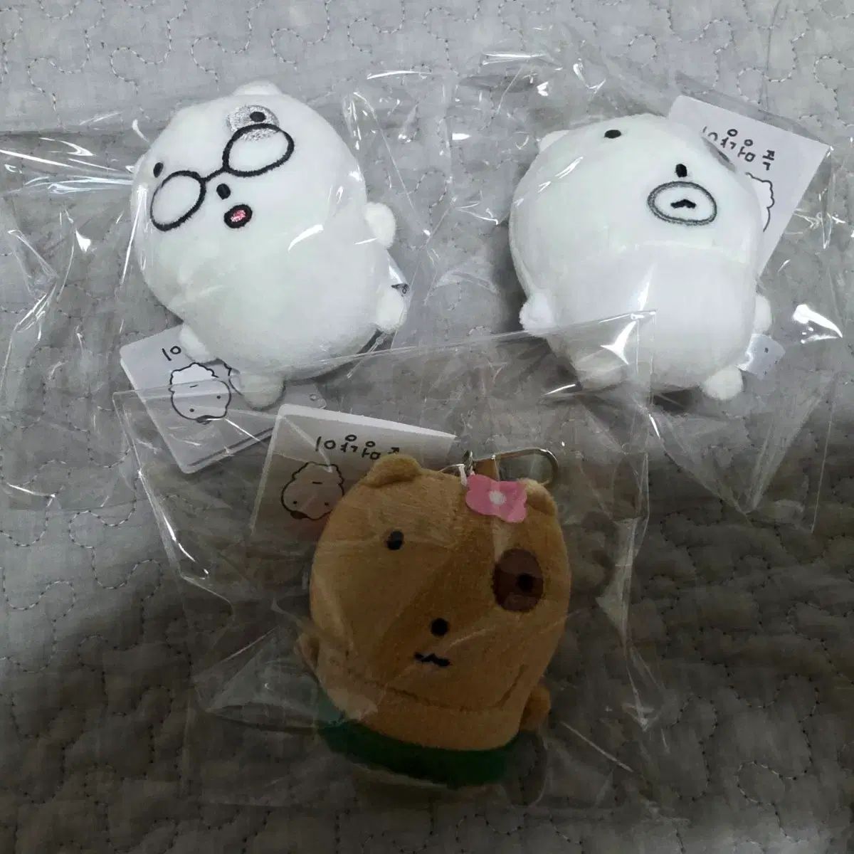 猫目儿猫目儿 3個セット (体力消耗ゴーグル タンニング)