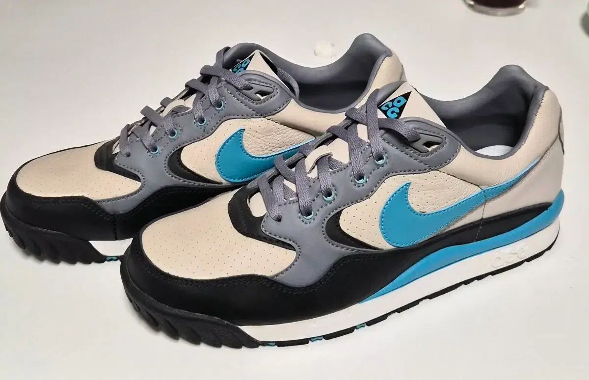 ナイキ エア ワイルドウッド ACG 