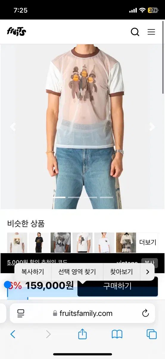 KAPITAL キャピタル シアー ジャージ x 20 リンガー Tシャツ モンキー アミーゴ シースルー 半袖