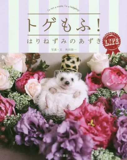 [Used] Book (Practical) “Animal Husbandry” Thorns! The Hedgehog's Azuki Life/ Tsunoda Shuichi