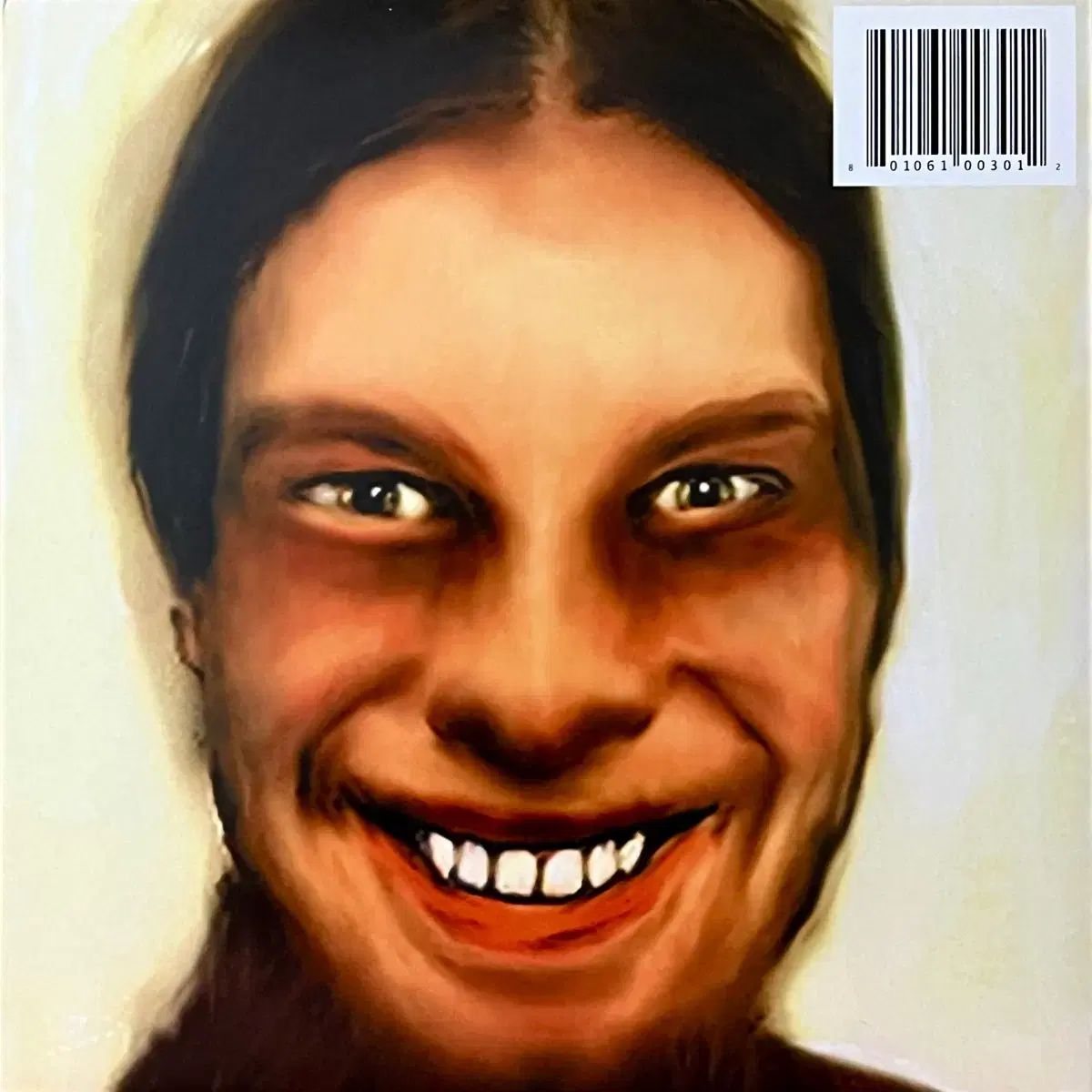 2LP Aphex Twin エイペックス ツイン- ICareBecauseYouDo