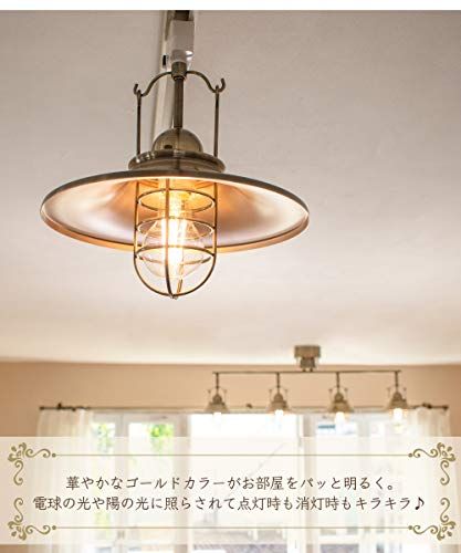 Ampoule シーリングライト 照明 おしゃれ LEDシーリングライト 1灯 アイアン 照明器具 天井照明 電球別売 アンティークゴールド 金 LED RAUTA ラウタ 国内発送 69edb704