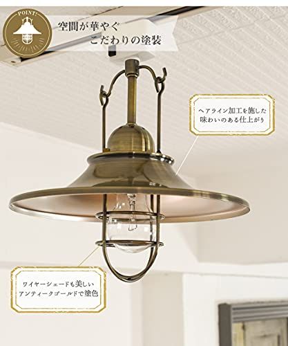 Ampoule シーリングライト 照明 おしゃれ LEDシーリングライト 1灯 アイアン 照明器具 天井照明 電球別売 アンティークゴールド 金 LED RAUTA ラウタ 国内発送 69edb704