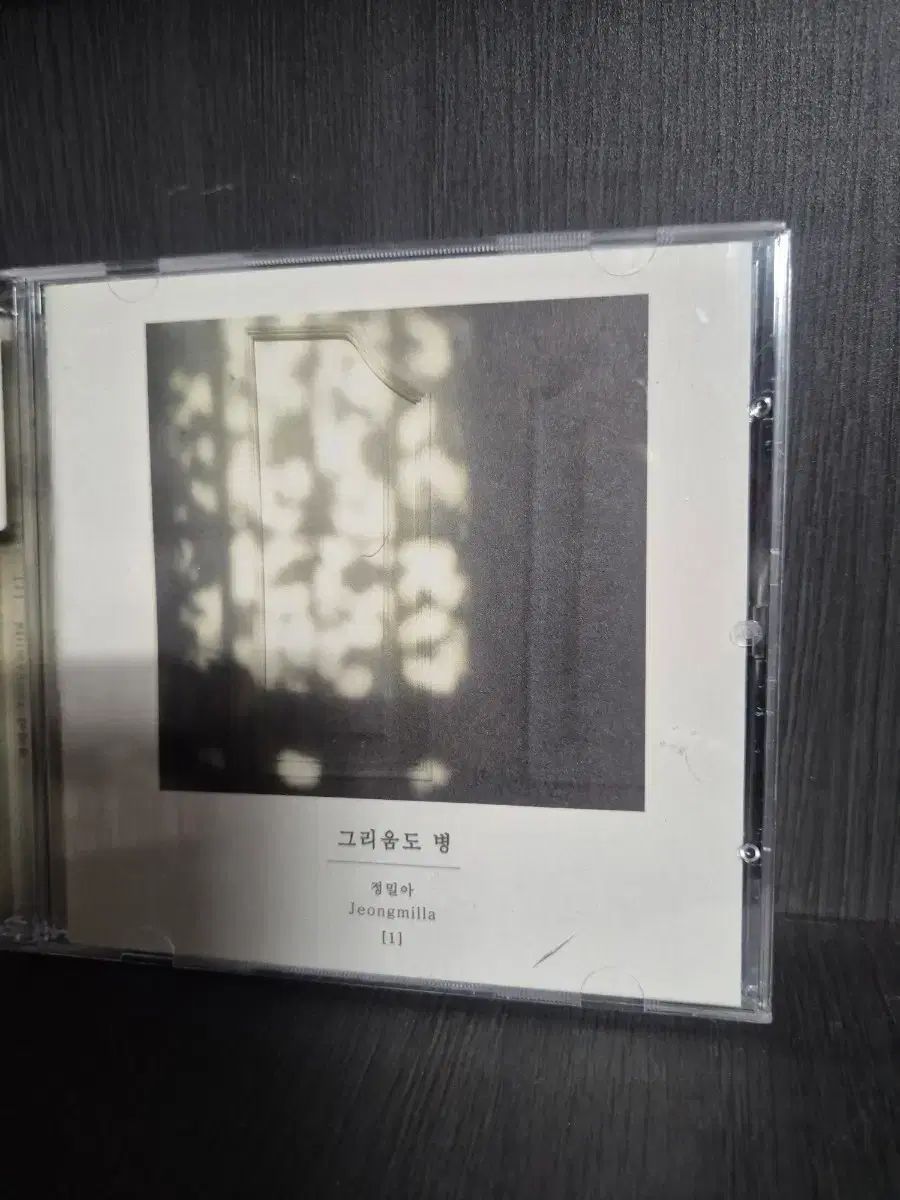 정밀아 1집 그리움도 병 CD