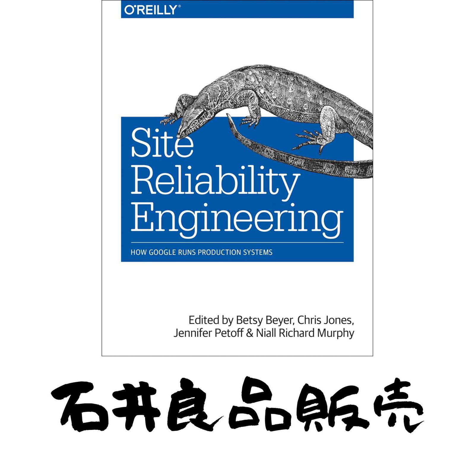 Site Reliability Engineering: How Google Runs Production Systems [ペーパーバック] Murphy, Niall Richard? Beyer, Betsy? …