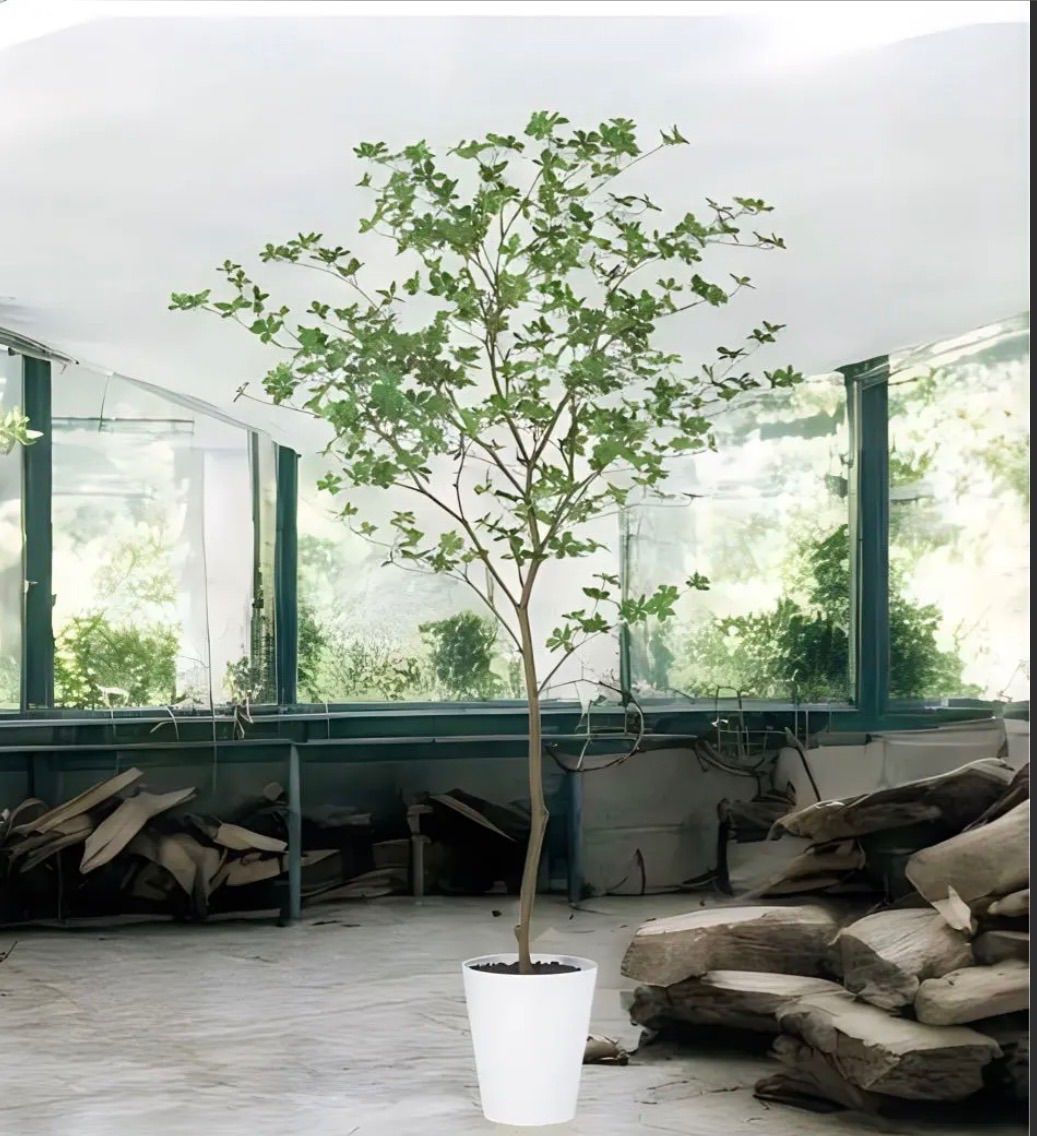 光触媒　人工観葉植物　ウ　フェイクグリーン　ドウダンツツジ200FST 光触媒 人工観葉植物 ウ フェイクグリーン ドウダンツツジ200FST