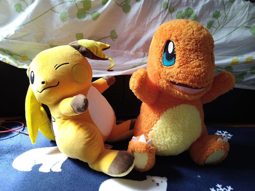 ポケットモンスター　ライチュウ　ヒトカゲ　ぬいぐるみ