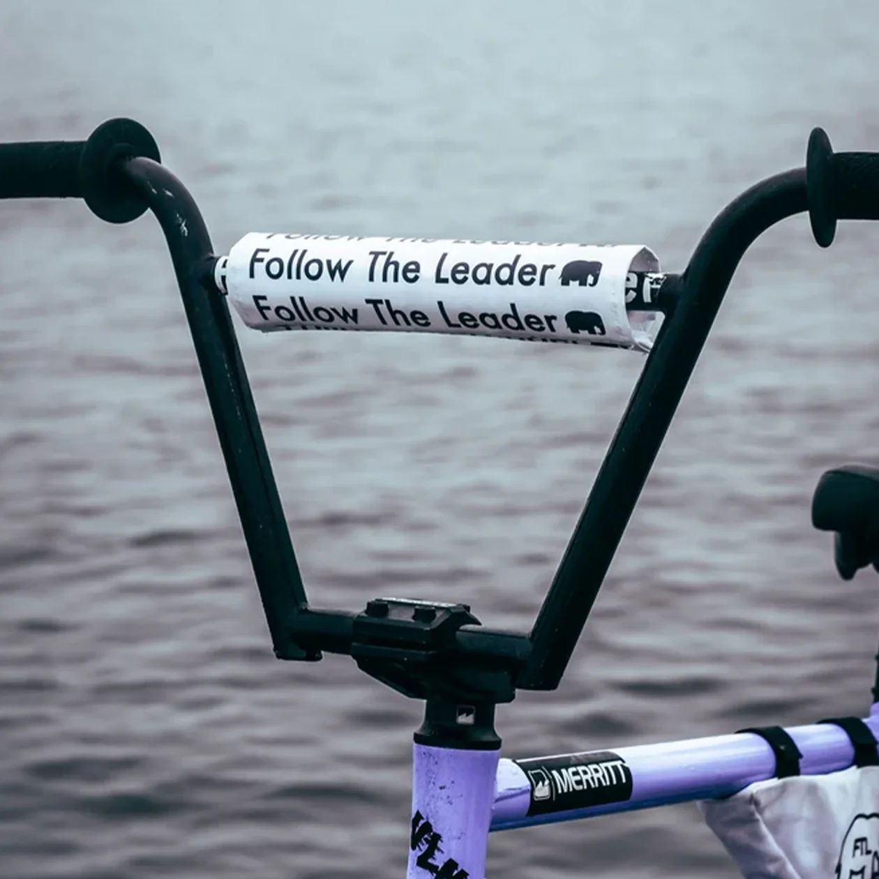 FTL - Follow The Leader Bicycle Pad V2/White　Bar用　bmx