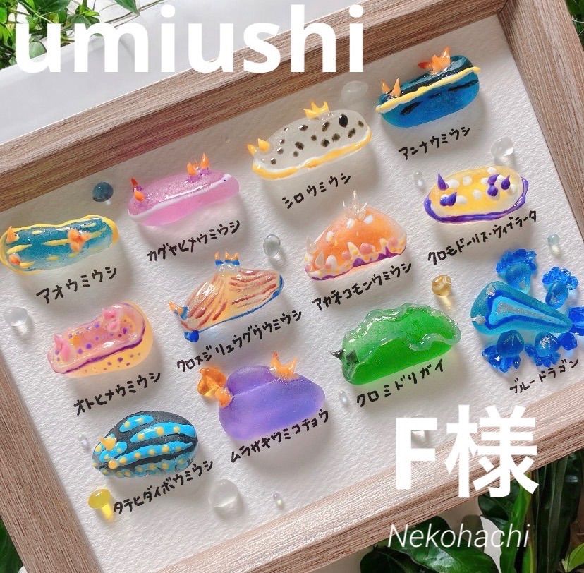 F様　ご確認用 4500円　ウミウシ図鑑12種❣️シーグラスアート　お魚立体図鑑　アクアリウム　海の生き物　水族館　海アート　釣り　海インテリア　ヒーリングアート