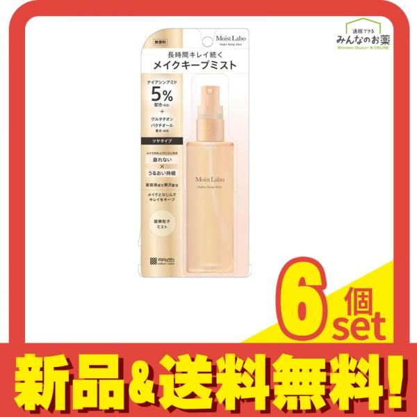 モイストラボ メイクキープミスト ツヤタイプ 85mL 6個セット まとめ売り