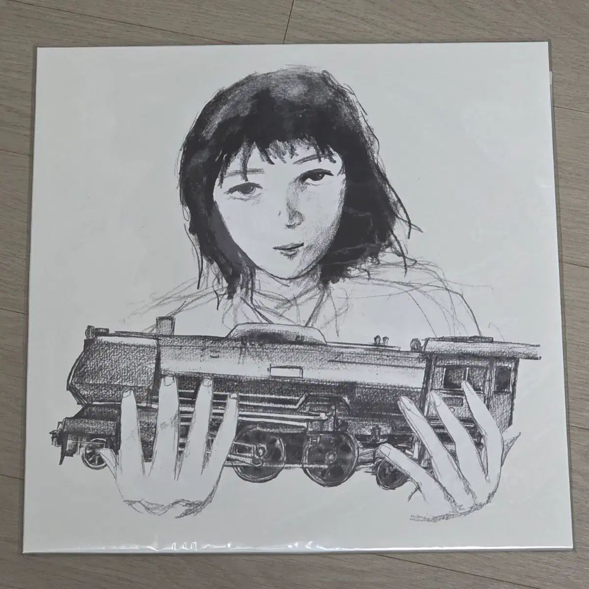ベットカバー 容器 lp