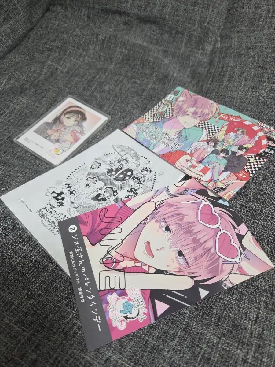 タモン君 今 どちら 願書 12 14 +アニメイト 特典はがき+ トレカ