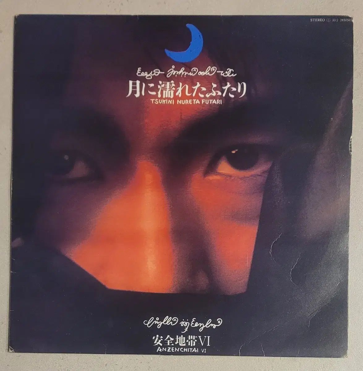 セーフゾーン 6 家 LP コピーバン