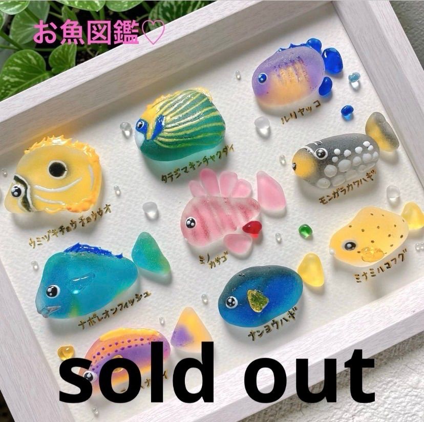 ご確認用　お魚図鑑　シーグラスアート