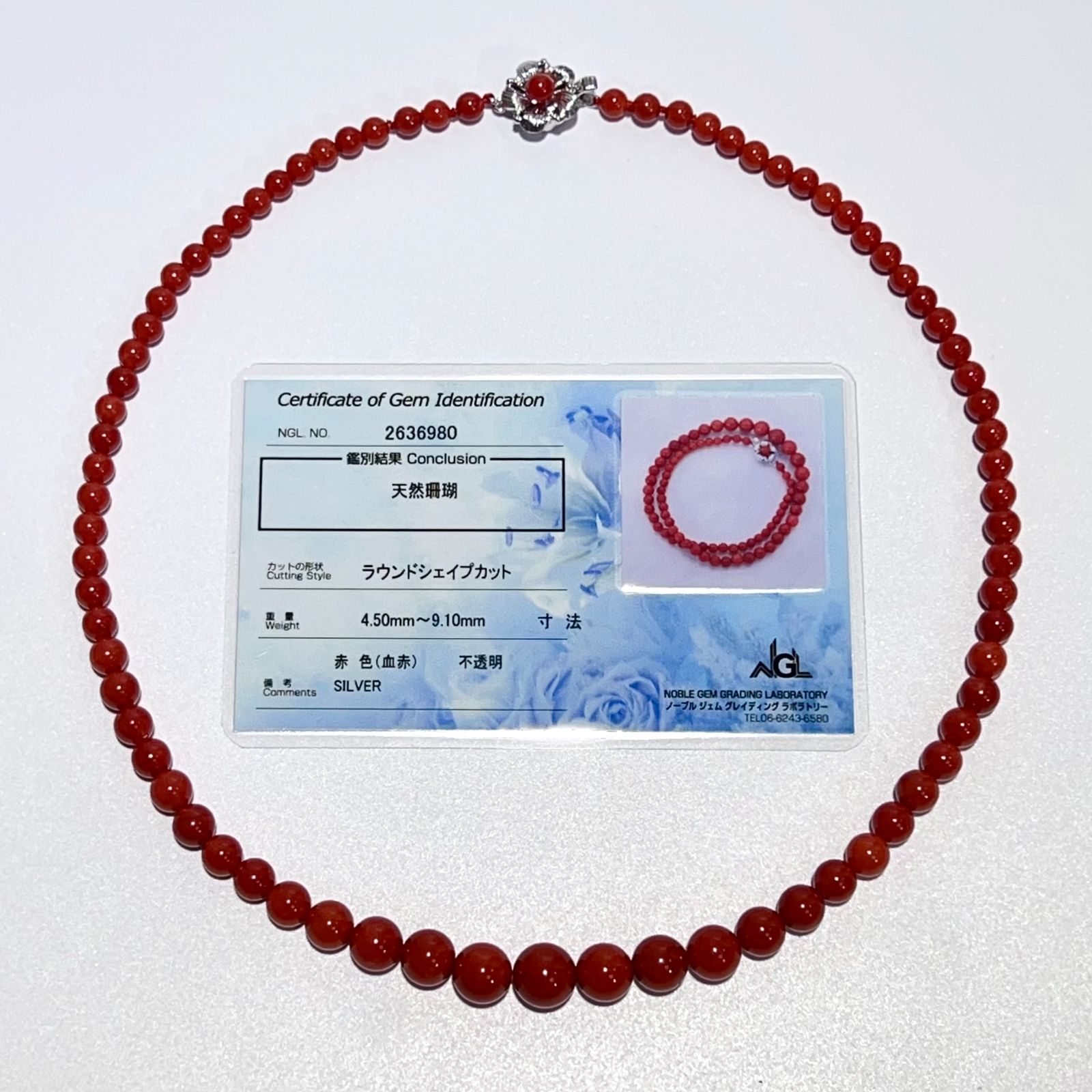 SV 天然 珊瑚 サンゴ ネックレス 血赤 鑑別書 42.5mm 21g レディース