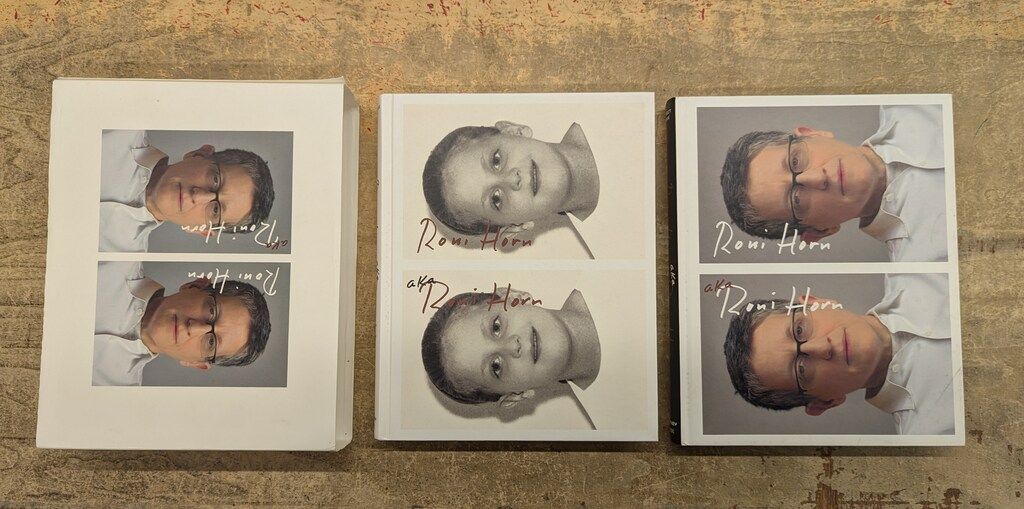 Roni Horn Aka Roni Horn