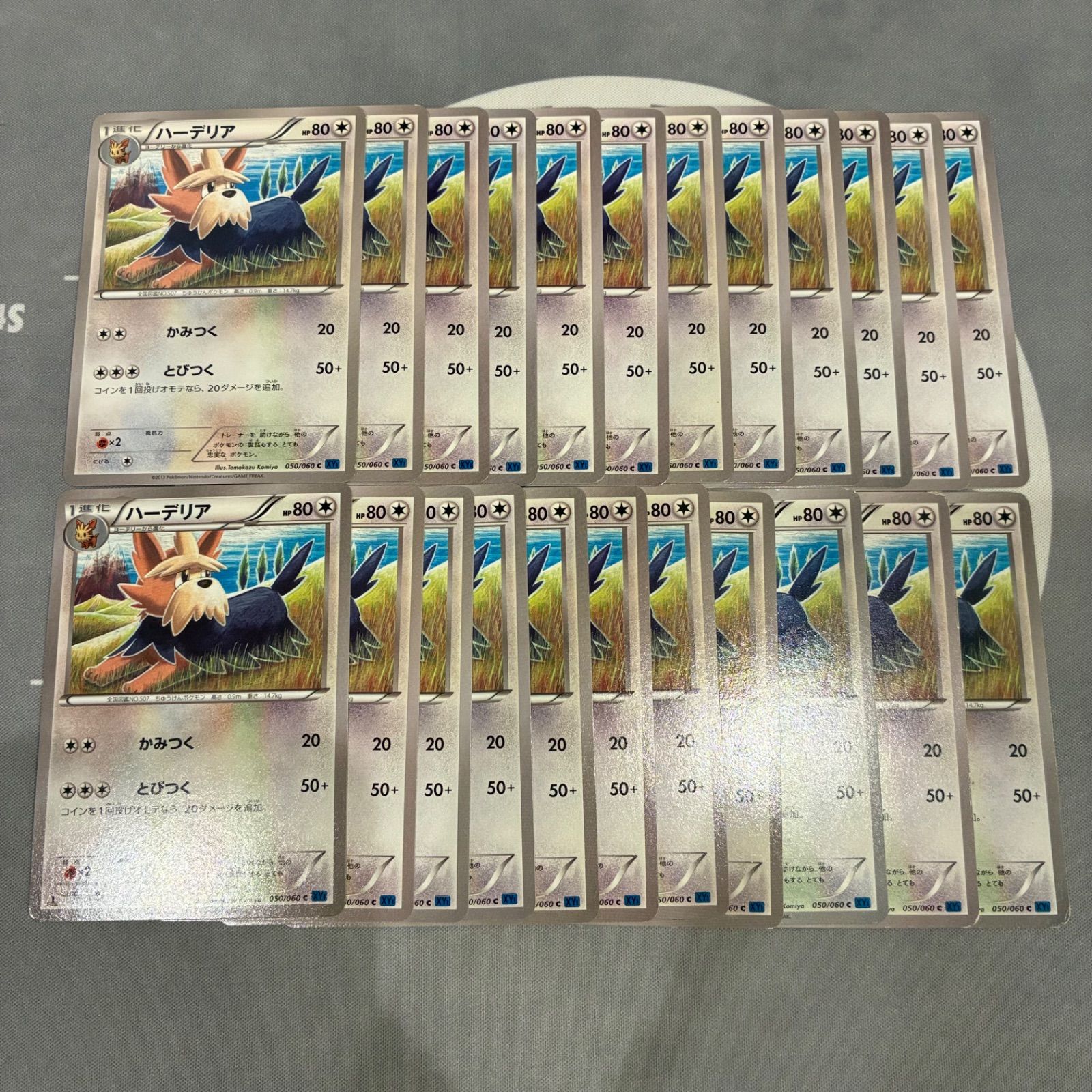 B610 ポケモンカード　ハーデリア　XY1 こみやトモカズ　まとめ売り　23枚