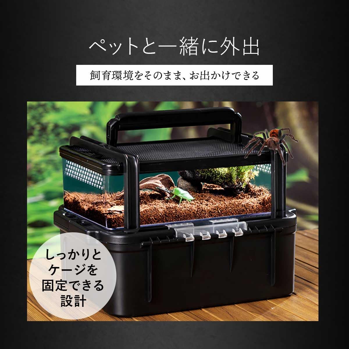 ガラス飼育ケージ、爬虫類両生類飼育ケージ60x45x80cmオリジナル送料