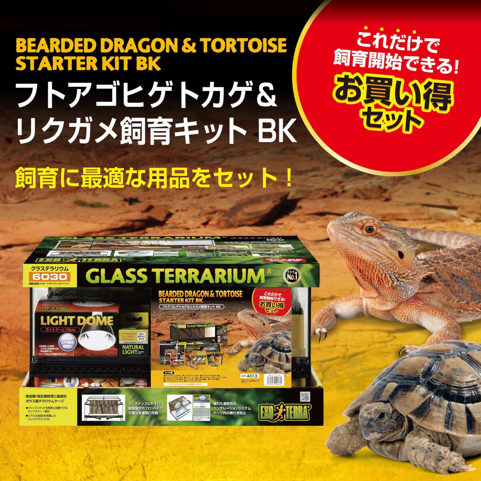 かず 爬虫類飼育用品セット かず 爬虫類飼育用品セット 楽天市場】カメ
