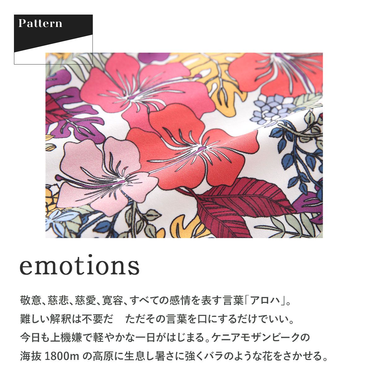 新品】グレイブボールト emotions ビキニ ブリーフ Gravevault(M、L 
