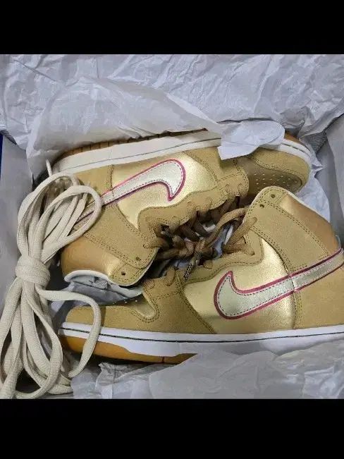限定モデル NIKE ダンク ハイ プレミアム SB 260