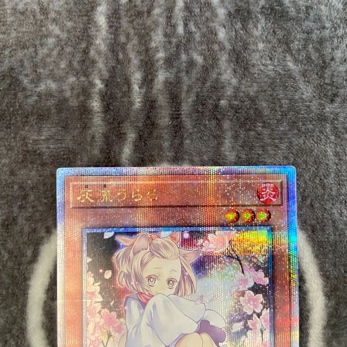 遊戯王 灰流うらら イラスト違い版25thシークレット1枚 - メルカリ