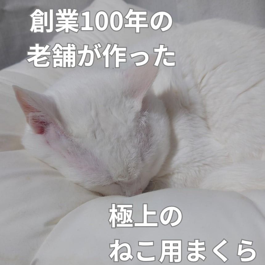 【猫の極上安眠】猫用クッション まくらのキタムラ ねこのためのまくら 日本製 創業100年 老舗の技術 ギフトにも◎