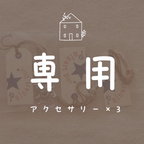 [専用] アクセサリー×3（チェーンSV、うさぎ、月GD）