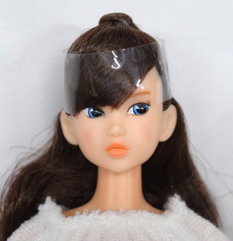ペットワークス CCS-momoko Today's momoko 1804(下アイライン有)