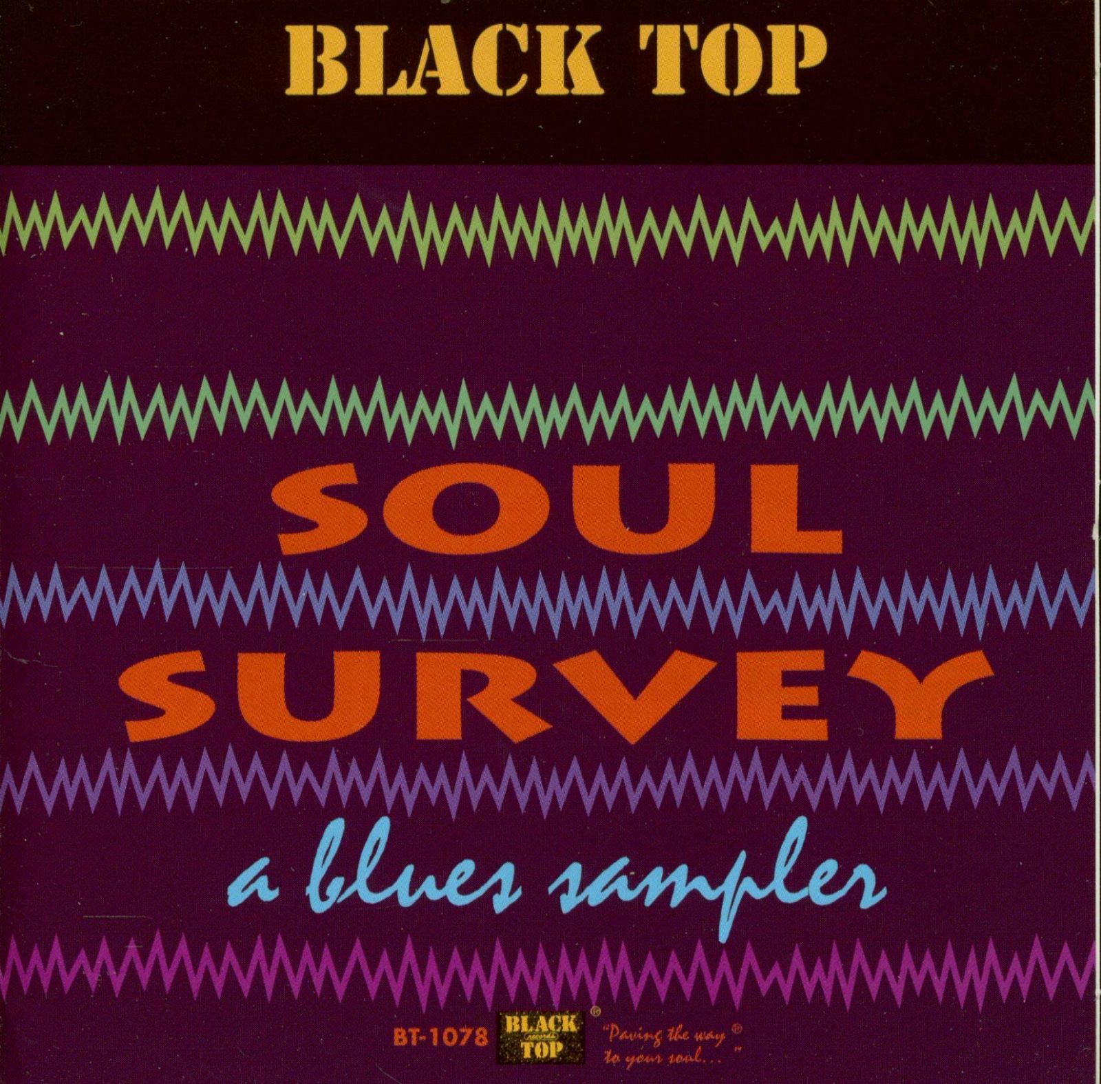 【CD】Soul Survey