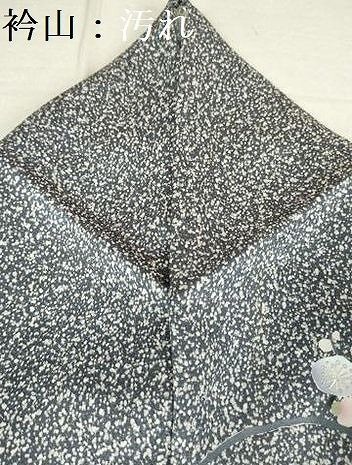 MO-00794 訪問着 地紙流水花鳥文 暈し染め 金彩 さが美扱い 正絹 逸品