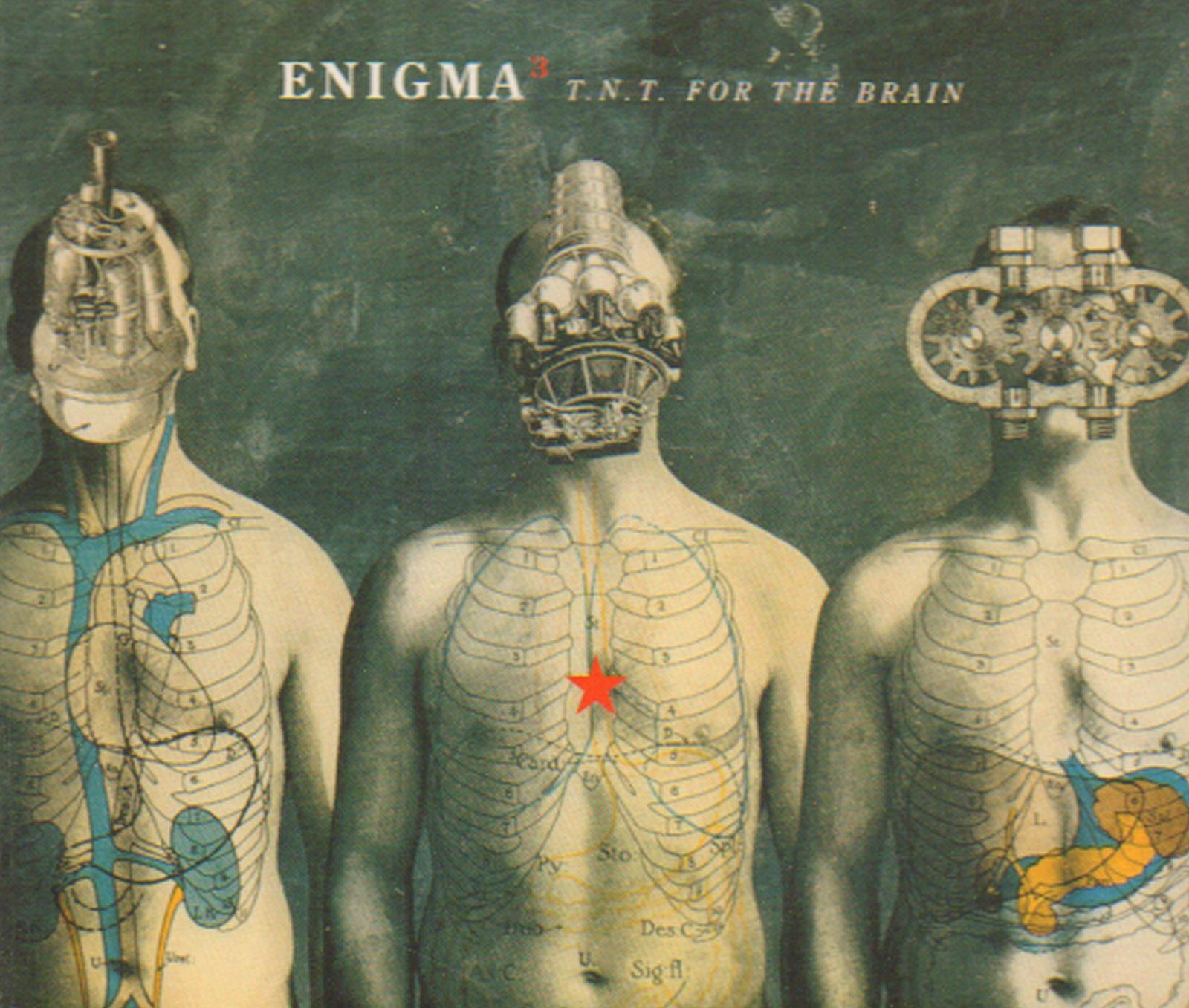 【CD】T.N.T. for the Brain