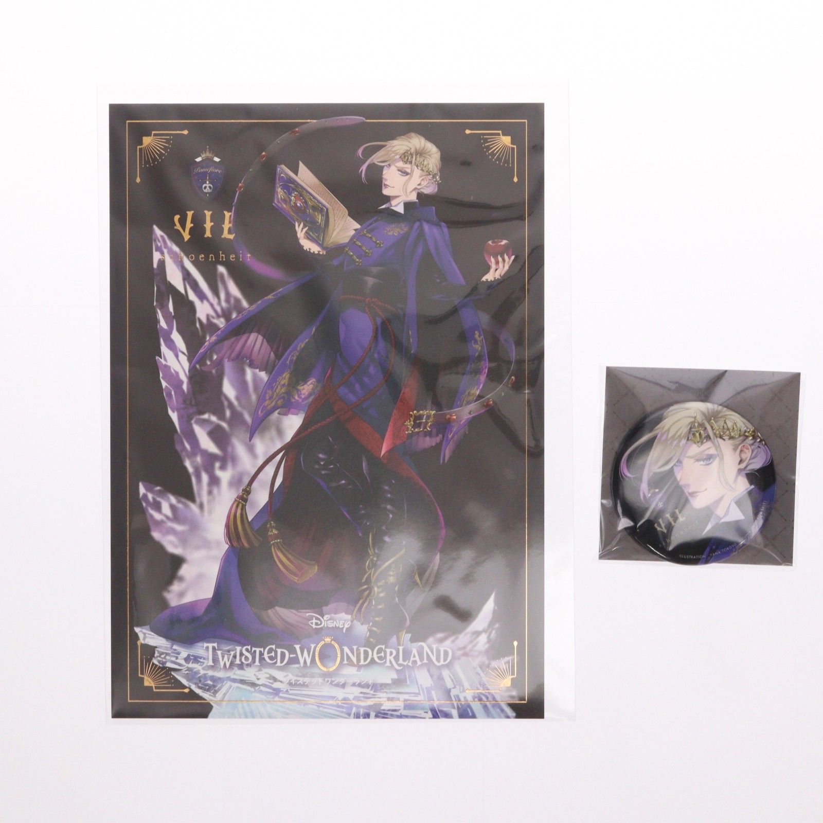ポストカード&早期予約特典付属 ANIPLEX+限定 ヴィル・シェーンハイト
