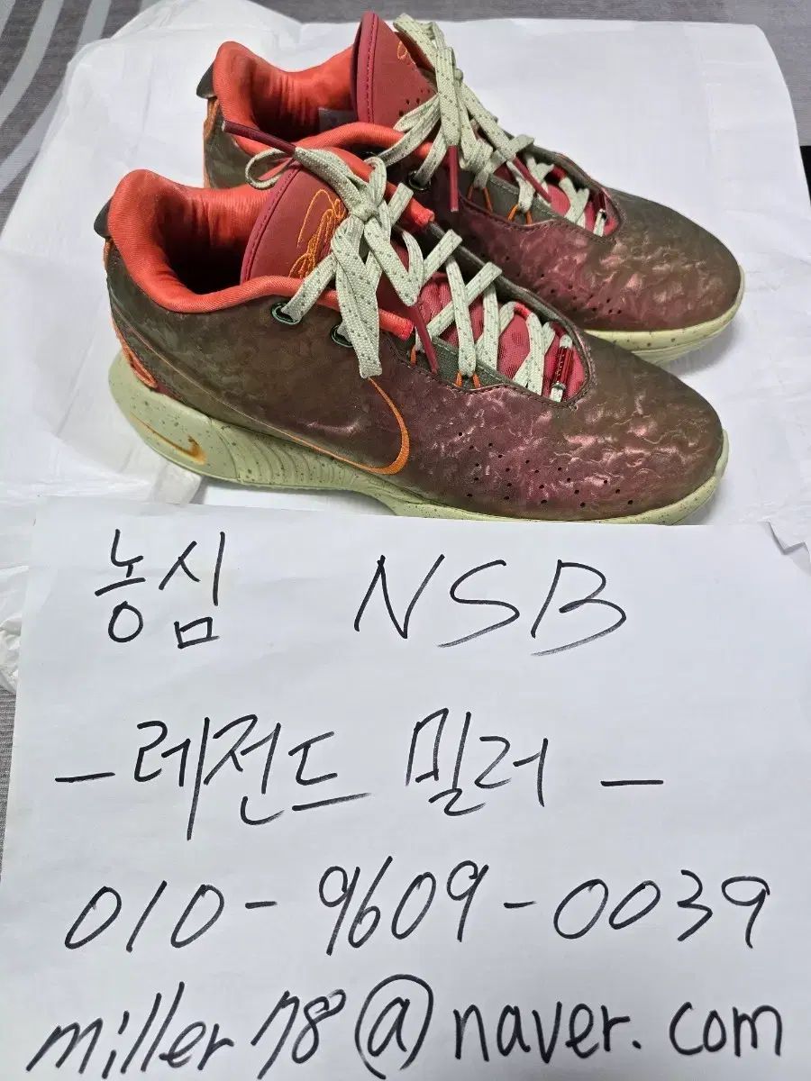 250 NIKE レブロン 21 クイーンコンサート
