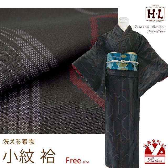 洗える着物 袷 H・L(アッシュ・エル) 大島紬風小紋 フリーサイズ「黒灰系、亀甲」hlaos-606-br