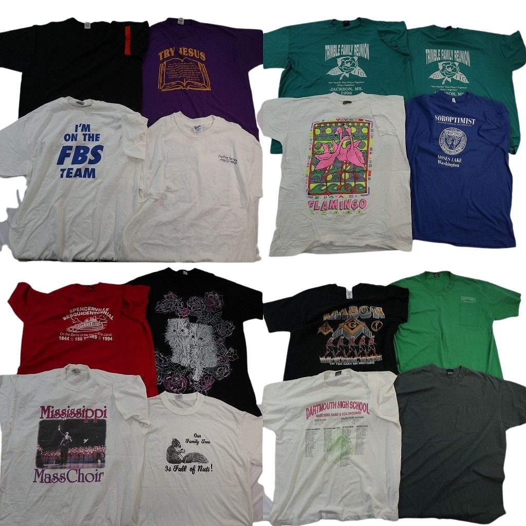 古着卸 まとめ売り シングルステッチ Tシャツ 16枚セット ( メンズ 2XL/3XL/4XL ) アニマル ネコ 人物 中古 古着 NE7485