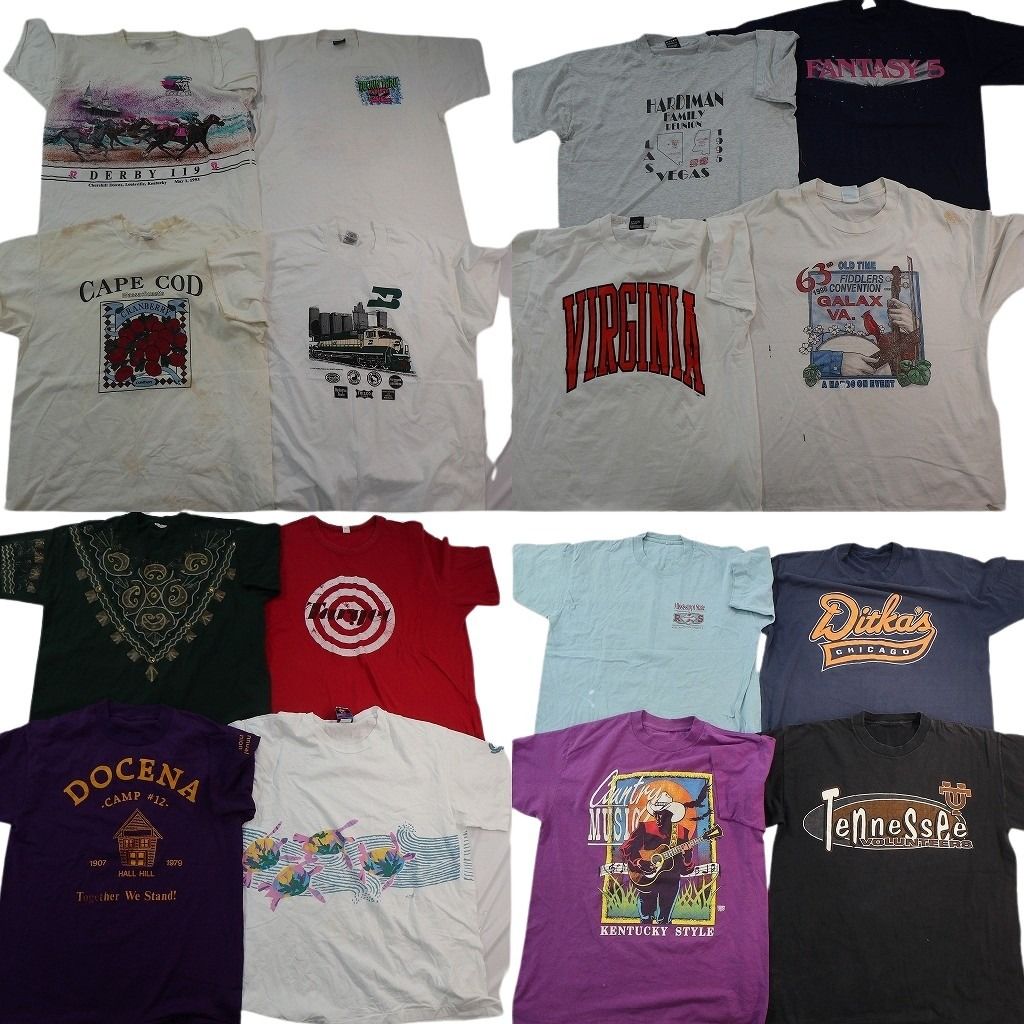 古着卸 まとめ売り シングルステッチ Tシャツ 16枚セット ( メンズ XL/2XL ) アニマル 動物 カレッジ風 アーチロゴ 中古 古着 NE7489