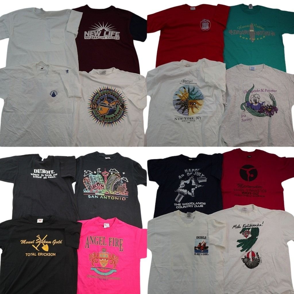 古着卸 まとめ売り シングルステッチ Tシャツ 16枚セット ( メンズ L ) フルーツオブザルーム 英文字プリント ワンポイント 中古 NE7497