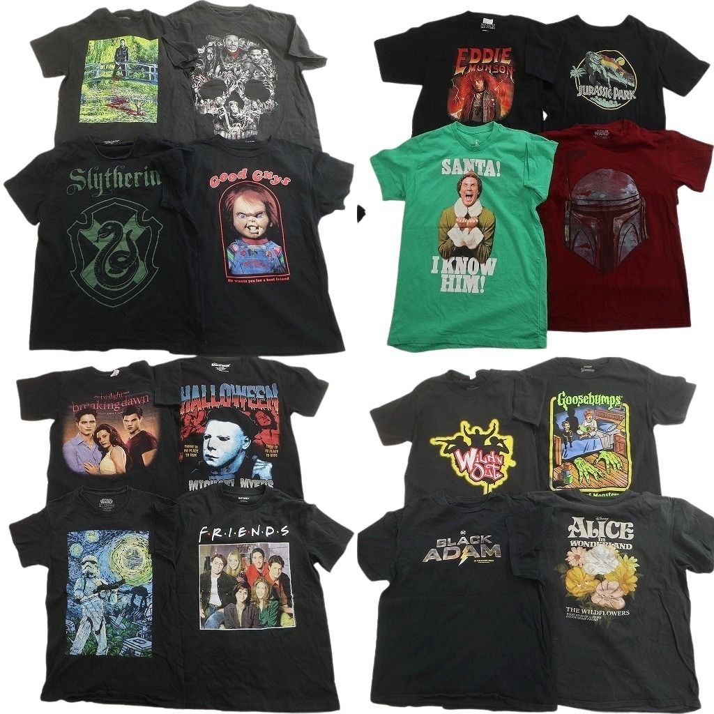 古着卸 まとめ売り 映画・ドラマ Tシャツ 16枚セット ( メンズ XS/S/M/L ) チャッキー ホラー ジュラシックパーク 中古 古着 NE7501
