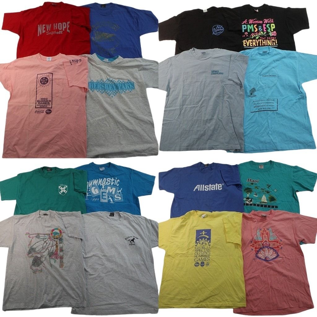 古着卸 まとめ売り シングルステッチ Tシャツ 16枚セット ( メンズ XL ) カレッジ風 ワンポイント フルーツオブザルーム 中古 古着 NE7516