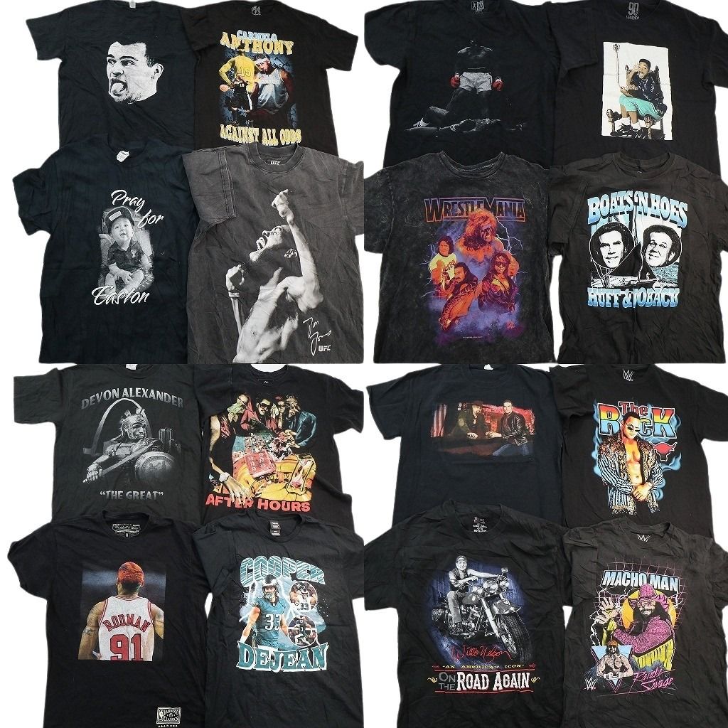 古着卸 まとめ売り 人物 Tシャツ 16枚セット ( メンズ M ) プロチーム NBA 大判プリント NFL 中古 古着 NE7654