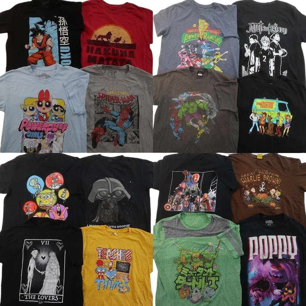 古着卸 まとめ売り キャラクター Tシャツ 16枚セット ( メンズ M ) ドラゴンボール パワーパフガールズ タートルズ 中古 古着 NE7665
