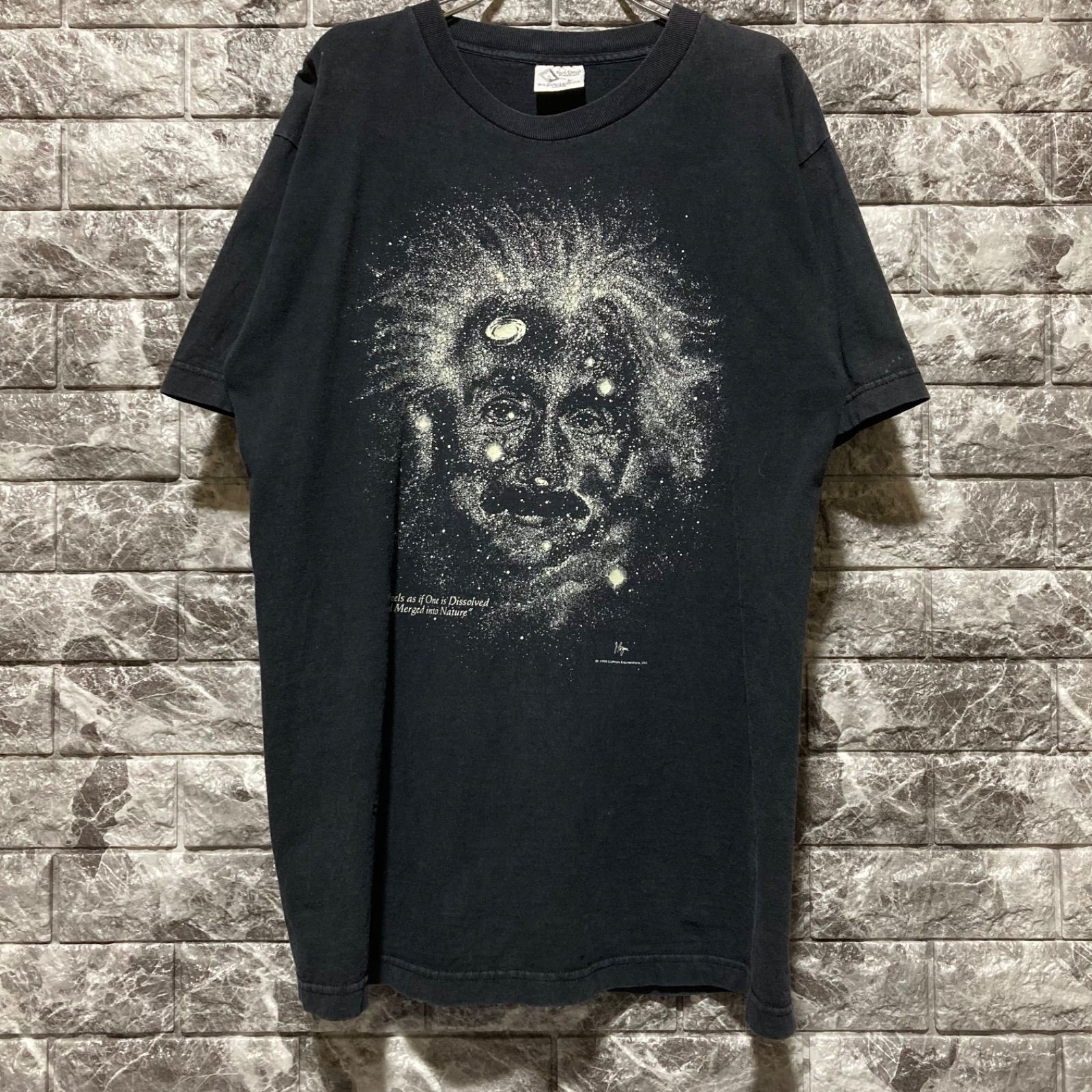 Albert Einstein Tシャツ L USA製 アインシュタイン BLACK フェード
