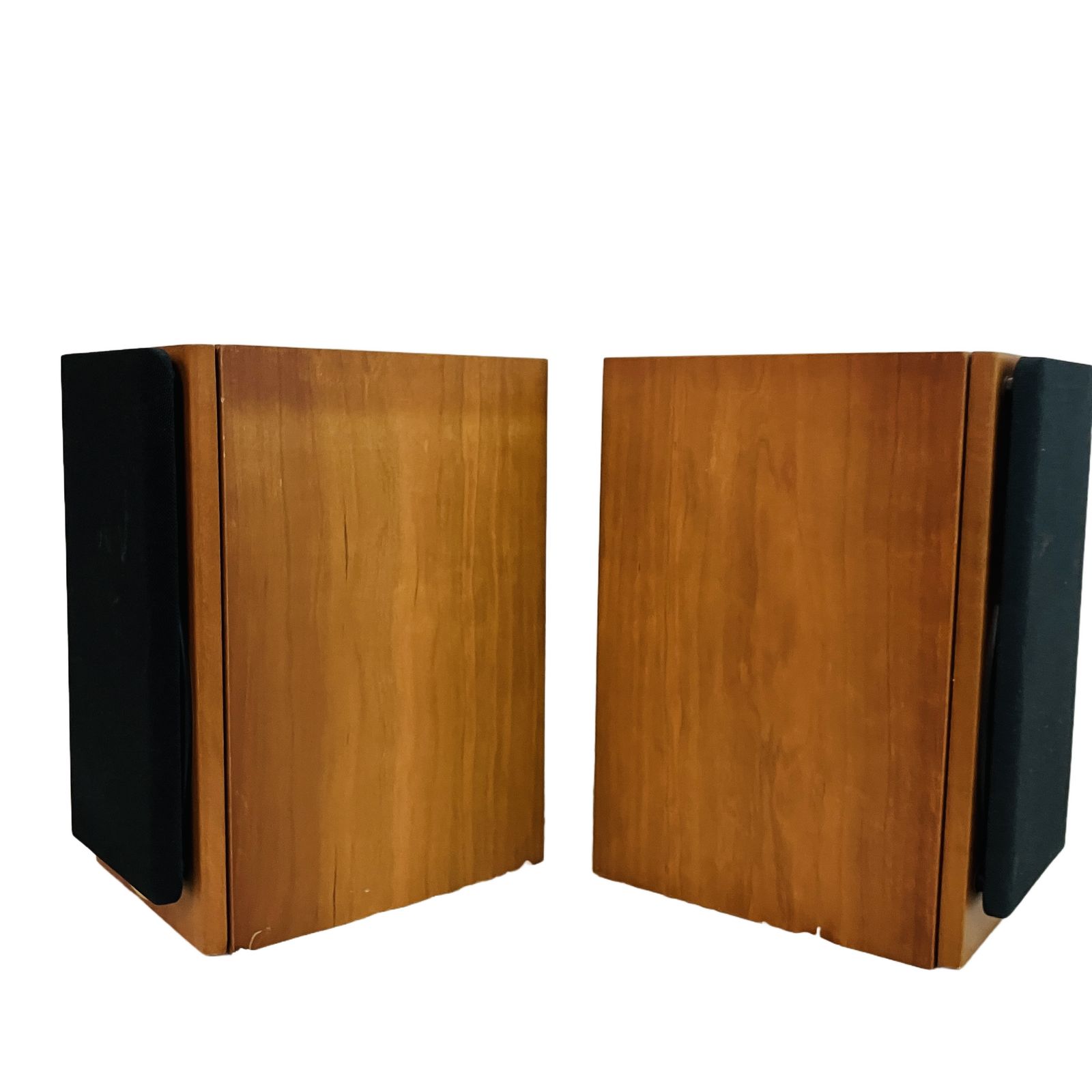 TANNOY タンノイ Revolution R1 ペア 【公式通販】