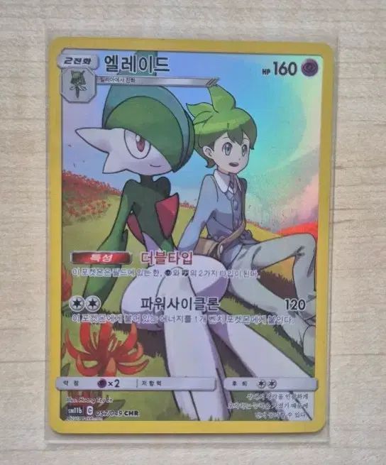 ポケモンカード レイド L エル
