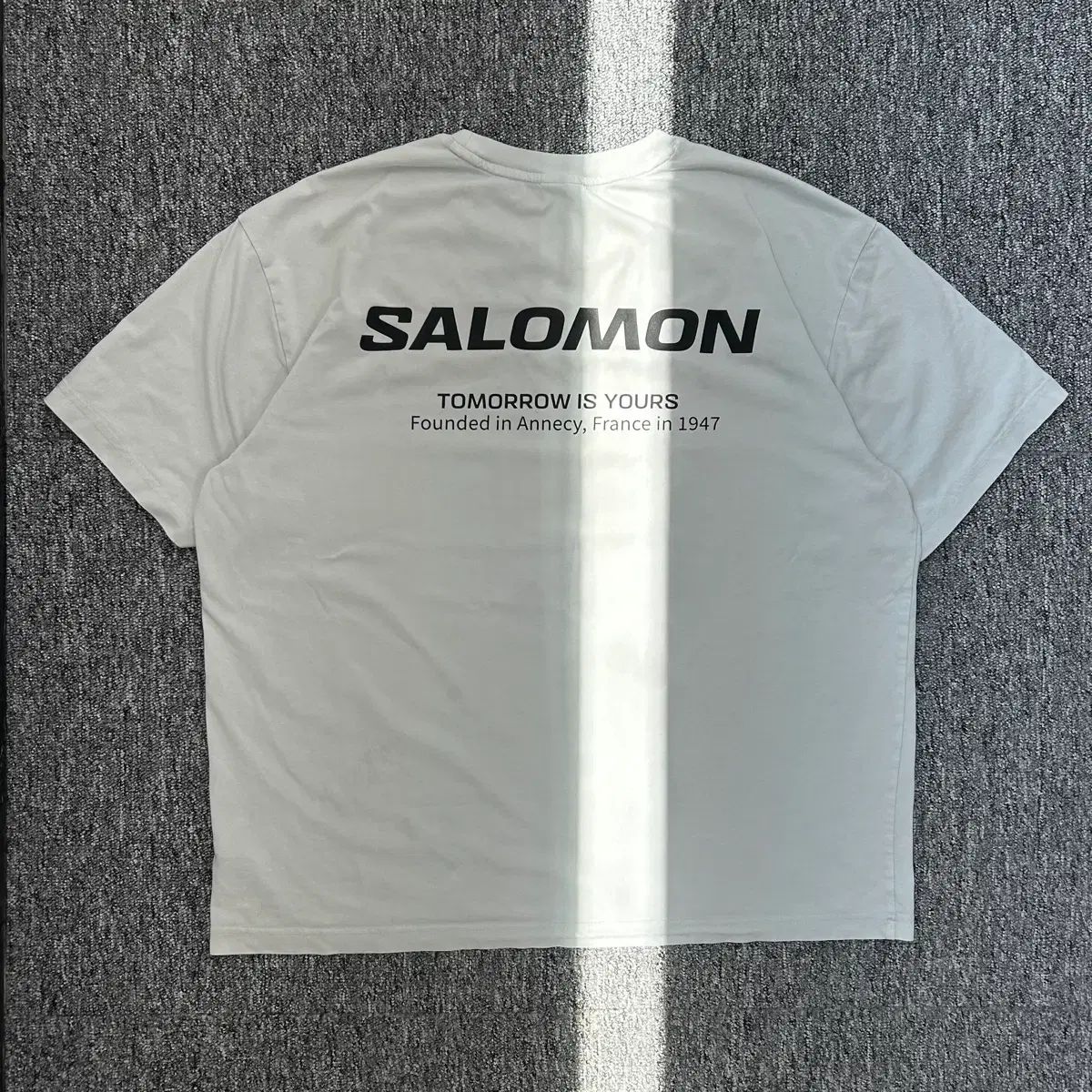 サロモン プリンティング 半袖Tシャツ